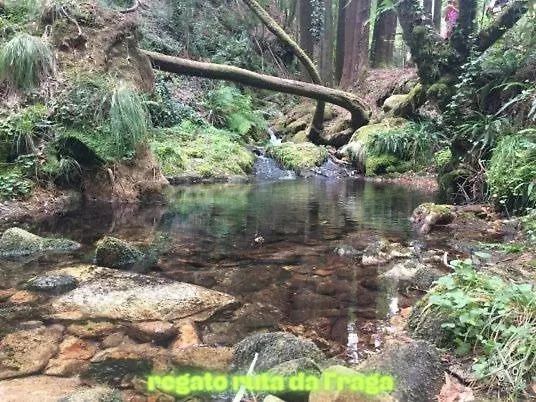 Vista A Cíes Moaña